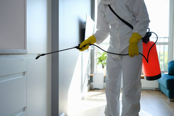 Mold Removal and Inspection in Aransas Pass, TX