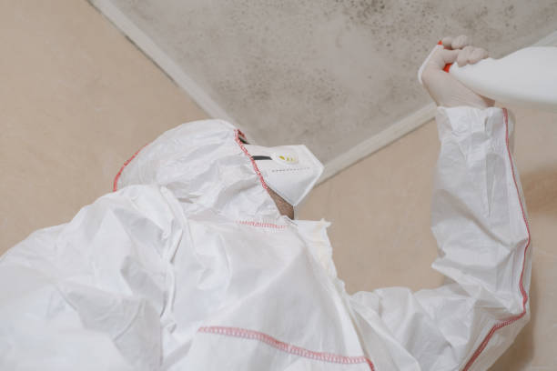 Best Certified Mold Removal  in Aransas Pass, TX