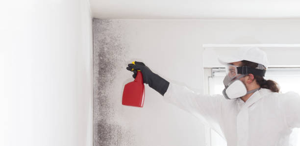 Best Local Mold Removal Service  in Aransas Pass, TX