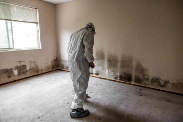 Best Mold Testing  in Aransas Pass, TX